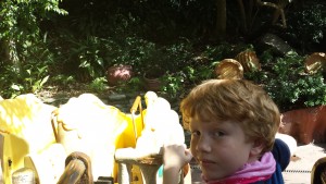 Disneyland! Winnie the Pooh ride